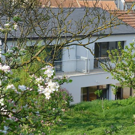 Pod Kralicim Vrchem Apartment Milovice  Ngoại thất bức ảnh